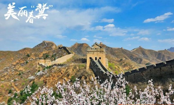 直播看长城：疫去春又来，云游金山岭！